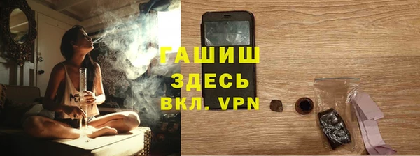 метадон Богданович