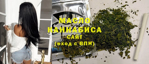 метадон Богданович