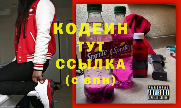 метадон Богданович