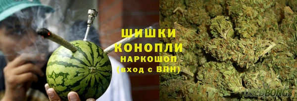 метадон Богданович