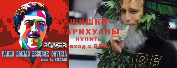 метадон Богданович